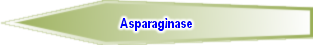 Asparaginase
