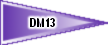DM13