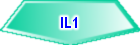 IL1