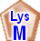 LysM