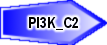 PI3K_C2