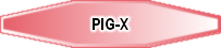 PIG-X