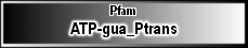 ATP-gua_Ptrans