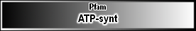 ATP-synt