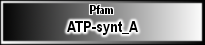 ATP-synt_A