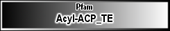 Acyl-ACP_TE