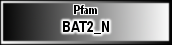 BAT2_N