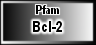 Bcl-2