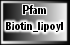 Biotin_lipoyl