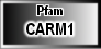 CARM1