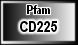 CD225