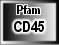 CD45
