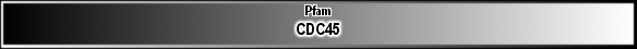 CDC45