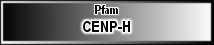 CENP-H