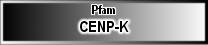 CENP-K