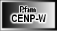 CENP-W