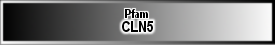 CLN5