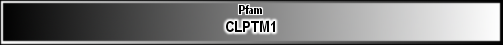 CLPTM1