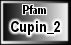 Cupin_2