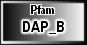 DAP_B