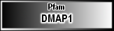 DMAP1