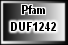 DUF1242