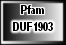 DUF1903
