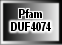 DUF4074