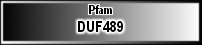 DUF489