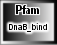 DnaB_bind