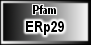 ERp29