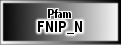 FNIP_N