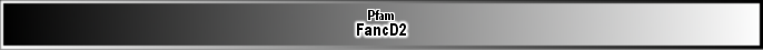 FancD2