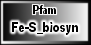 Fe-S_biosyn
