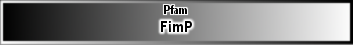 FimP