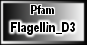 Flagellin_D3