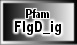 FlgD_ig