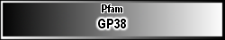 GP38