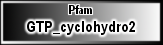 GTP_cyclohydro2