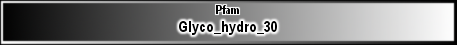Glyco_hydro_30