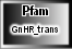 GnHR_trans