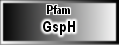 GspH