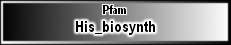 His_biosynth