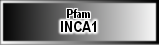 INCA1