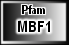 MBF1