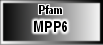 MPP6
