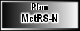 MetRS-N