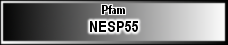 NESP55