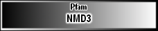 NMD3