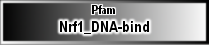 Nrf1_DNA-bind